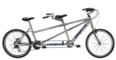 2 seater mountain bike